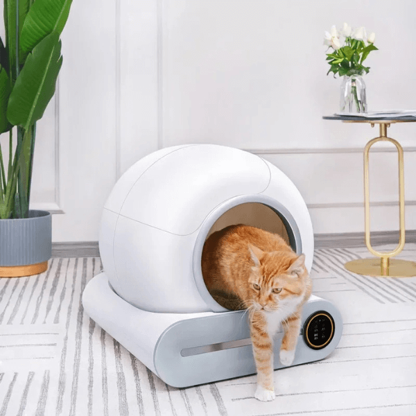 BYONA Tigertoilette